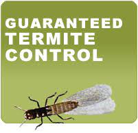 Cockroach control service, termite control service, rodent control service, bed bugs control service, industrial pest control service, fumigation service, snake control service, sofa cleaning service, carpet cleaning service etc. Community Termite And Pest Control Woodstock Roswell Marietta