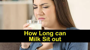 Only pick up the milk and dairy products last when shopping so those don't warm up. How Long Can Milk Sit Out