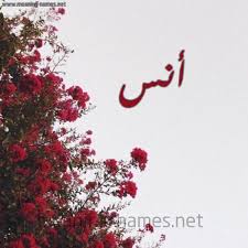 أنس شكل 18 صوره الورد الأحمر للإسم بخط رقعة كتابة على الورد 2021