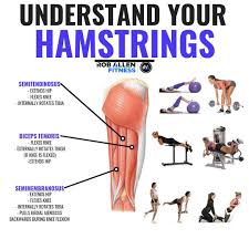 Hamstring injuries mostly occur while players are running or sprinting. Understand Your Hamstrings Follow Roballenfitness For More Fitness Nutrition Info What S Your Fa Hamstring Muscles Hamstring Workout Glutes Workout