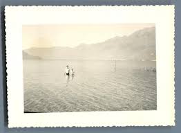 Votre comité 2021 lien vers la vidéo de l'allocution du 1er août 2021 à l'adresse des suisses de l'étranger par guy parmelin, président de la confédération. Suisse Lac Majeur A Ascona Jour De La Fete Nationale Suisse Von Photographie Originale Original Photograph 1953 Fotografie Photovintagefrance