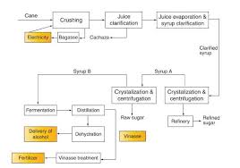 Biofuel And Electricity Cogeneration From Sugarcane