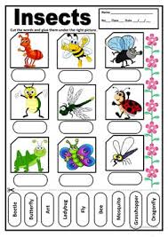 Check spelling or type a new query. English Esl Insects Worksheets Most Downloaded 70 Results