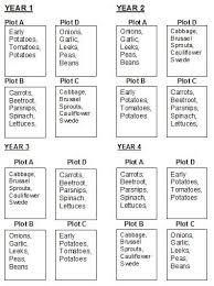 Pin On Gardening