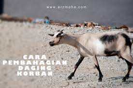 Viral korban begal kebal senjata tajam sabetan samurai hanya merobek bajunya. Cara Pembahagian Daging Korban Mobile