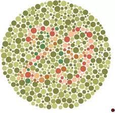 Brain mapping system developed by the memory guru of india works fast and you can read the entire book in a day. How Does The Indian Army Test Colorblindness Quora