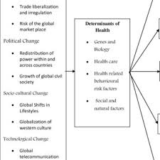 Pdf The Impact Of Globalization On Public Health And Infectious Diseases