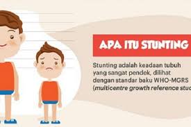 Stunting biasanya terjadi pada 1.000 hari pertama kehidupan manusia. 38 Balita Di Kotamobagu Masuk Kategori Stunting Portal Sulut