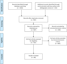 Traditional Healers And Mental Health In Nepal A Scoping Review Springerlink