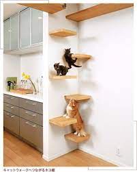 19 Reasons Cats Are Better Than Dogs Cat Ladder Cat Shelves Home