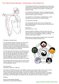 Triple Warmer Meridian Flow Pdf Download Free Ww Natural