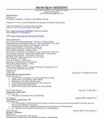 visual artist resume example self