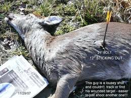 Pin On Animals Rights