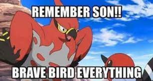 Talonflame The Brave Wiki Pokemon Amino