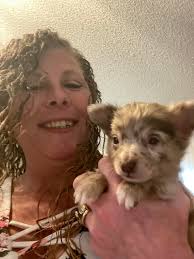 Our newest family member, meet Smokey, he is 12 weeks old.