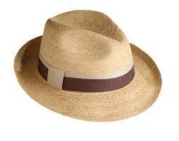 Tilley R7 Medium Brim Raffia Town Hat Hat Features Ties For Windy Weather Excellent Sun Protection Hats For Men Hats Brown Fedora