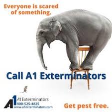 By safely collecting and disposing of the body. 900 Bug Pest Control Tips Ideas In 2021 Pest Control Pests Exterminator