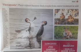 Suzanne Behan (@picsbySuzanneB)