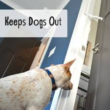 The tidy cats breeze system is designed specifically to keep unpleasant smells under control and ensure your home smells fresh. How To Keep Dogs Out Of The Litter Box What You Need To Know Happy Cat Corner