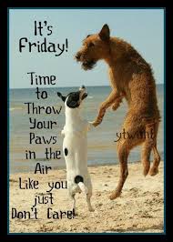 Happy friday meme advice dog 105889 memeshappen. 120 Friday Memes Ideas Its Friday Quotes Friday Humor Friday