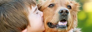 Maybe you would like to learn more about one of these? The Many Benefits To Growing Up With Pets