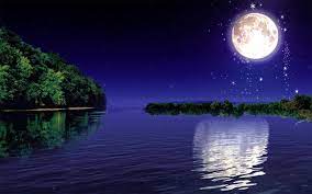 We did not find results for: Valsa Mathew Beautiful Night With Moon Imgur