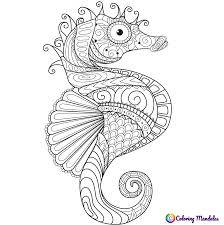 And you can freely use images for your personal blog! Sea Horse Animals Coloring Pages