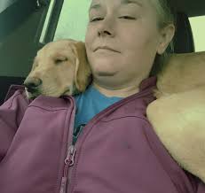 Christmas Miracle: 35 Dogs Saved