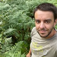 Denis Newman-Griffis