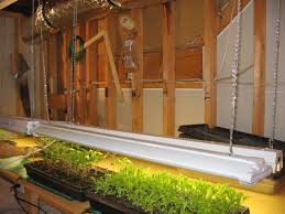 Top in indoor horticulture industry. How To Set Up A Mini Greenhouse How Tos Diy