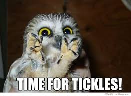 Image result for time for tickles