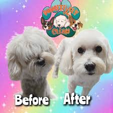 Thanks to Valcon and Andy Savoy for bringing our groomer home for the off  season. Andy is a great member of our community and shows us each time how  generous and kind