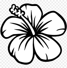 The best selection of royalty free flower clipart vector art, graphics and stock illustrations. Largest And Collection Of Flower Clipart Images In Hibiscus Flower Coloring Page Png Image With Transparent Background Toppng