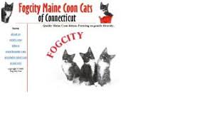 Kittens available, cats, maine coons, birmans, big friendly, raised underfoot, minnesota, breeder, cattery, twin cities, show cats. Maine Coon Cat Breeders Directory Page 3 O Kitty