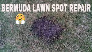Some people say to dig it up and replace completely, others say to let it run it course, and stil others say to apply dish detergent and try and wash the grass to break up the oil. How To Repair Fuel Spill On Grass Youtube