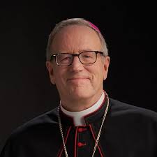 2 Samuel (Brazos Theological Commentary