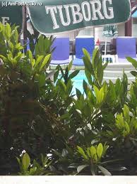 Hotelul ,,apollo ofera servicii hoteliere la standarde inalte de 3 stele. Hotel Apollo O Experienta Ok Impresii Apollo Ovicris Hotel Eforie Nord Amfostacolo