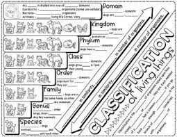 Taxonomic Classification Science Doodle Notes Interactive