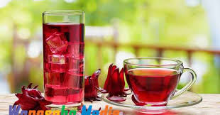 Proses panen bunga rosela sampai cara menjemurnya. Bunga Rossela Tanaman Kaya Akan Manfaat