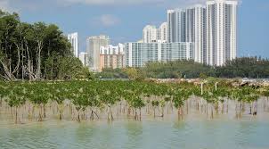 Check out tripadvisor members' 50,141 candid photos and videos of landmarks, hotels, and attractions in miami beach. North Miami Beach Florida Wikipedia