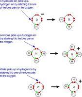 Theories Of Acids And Bases In 2020 Teaching Chemistry Chemistry Worksheets High School Chemistry