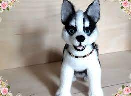 Siberian Husky Realistic Stuffed Toy Dog Christmas Gift Crochet Plush By Originalknittedtoys On Etsy Realistic Stuffed Dog Soft Toy Dog Wolf Stuffed Animal