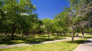 Image result for parque
