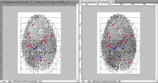Digital Grid Method For Fingerprint Identification And