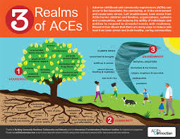 We did not find results for: Paces Science 101 Aces Too High