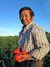 Read online books for free new release and bestseller Hmong American Farmers Association Mnopedia