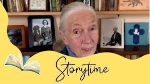 Grace Directed Drawing Jane Goodall