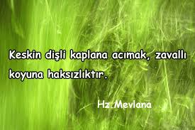 Haksizlik Ile Ilgili Soylenmis Sozler Haksizlik Ile Ilgili Sozler Haksizlik Sozleri Mevlana Haksiz Kisilere Sozler Ozlu Sozler Alinti Sozler Yazar Sozleri