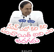 images?q=tbn:ANd9GcTzRCTWeoIHOCJZLCDq7K5