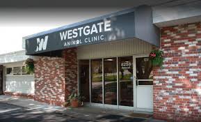 • 509 просмотров 2 года назад. About Us Westgate Animal Clinic